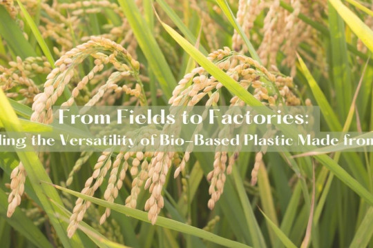 From Fields to Factories: Unveiling the Versatility of Bio-Based Plastic Made from Rice