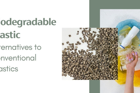 Biodegradable Plastic Alternatives to Conventional Plastics
