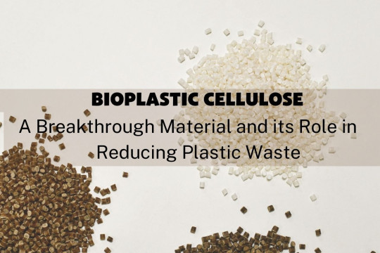 Bioplastic Cellulose: A Breakthrough Material and its Role in Reducing Plastic Waste