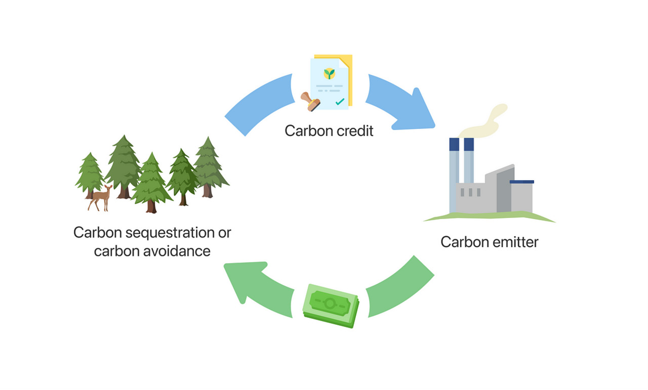 Take Action for a Greener Future: Buy Carbon Credits for Sale and Reduce Your Carbon Impact - carbon credit for sale