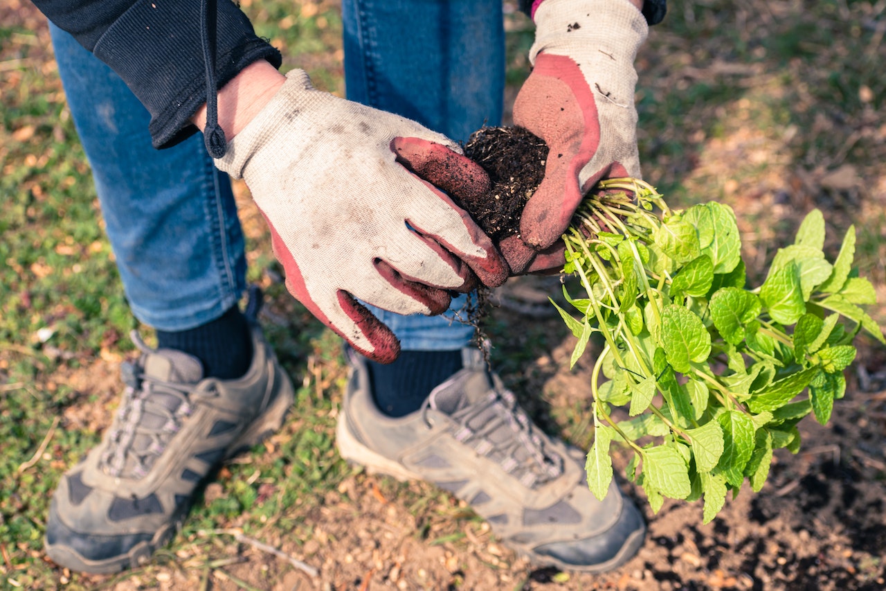 The Power of Carbon Credits in Agriculture for Land Management - farmer