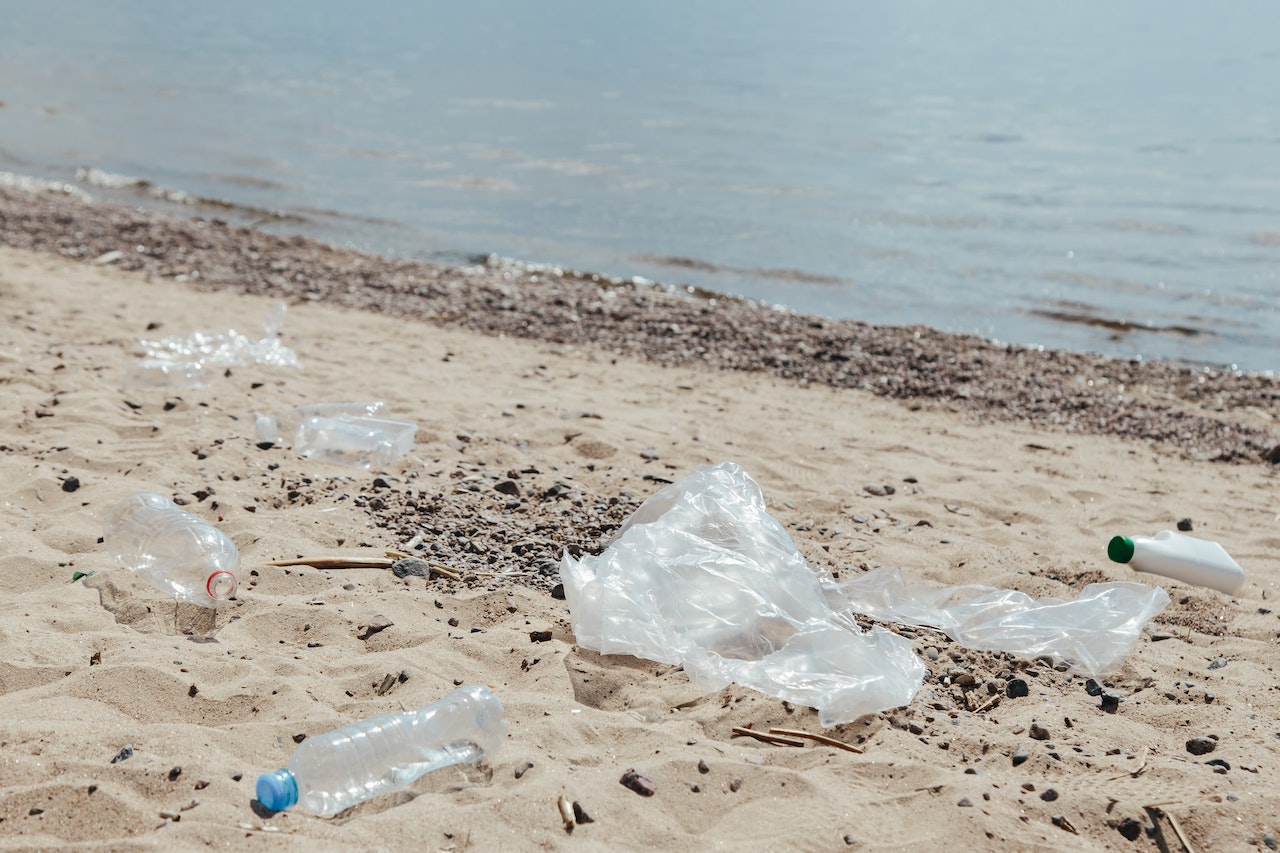Comparing the Environmental Impact of Bio Plastic Products and Traditional Plastics-plastic pollution Comparing the Environmental Impact of Bio Plastic Products and Traditional Plastics-plastic pollution