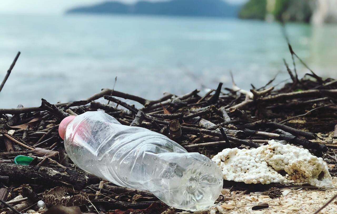 Switch to Sugarcane Bioplastics and Reduce Your Carbon Footprint Today - Plastic Pollution
