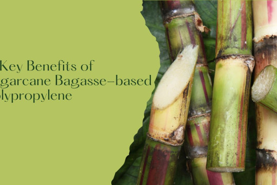 4 Key Benefits of Sugarcane Bagasse-based Polypropylene