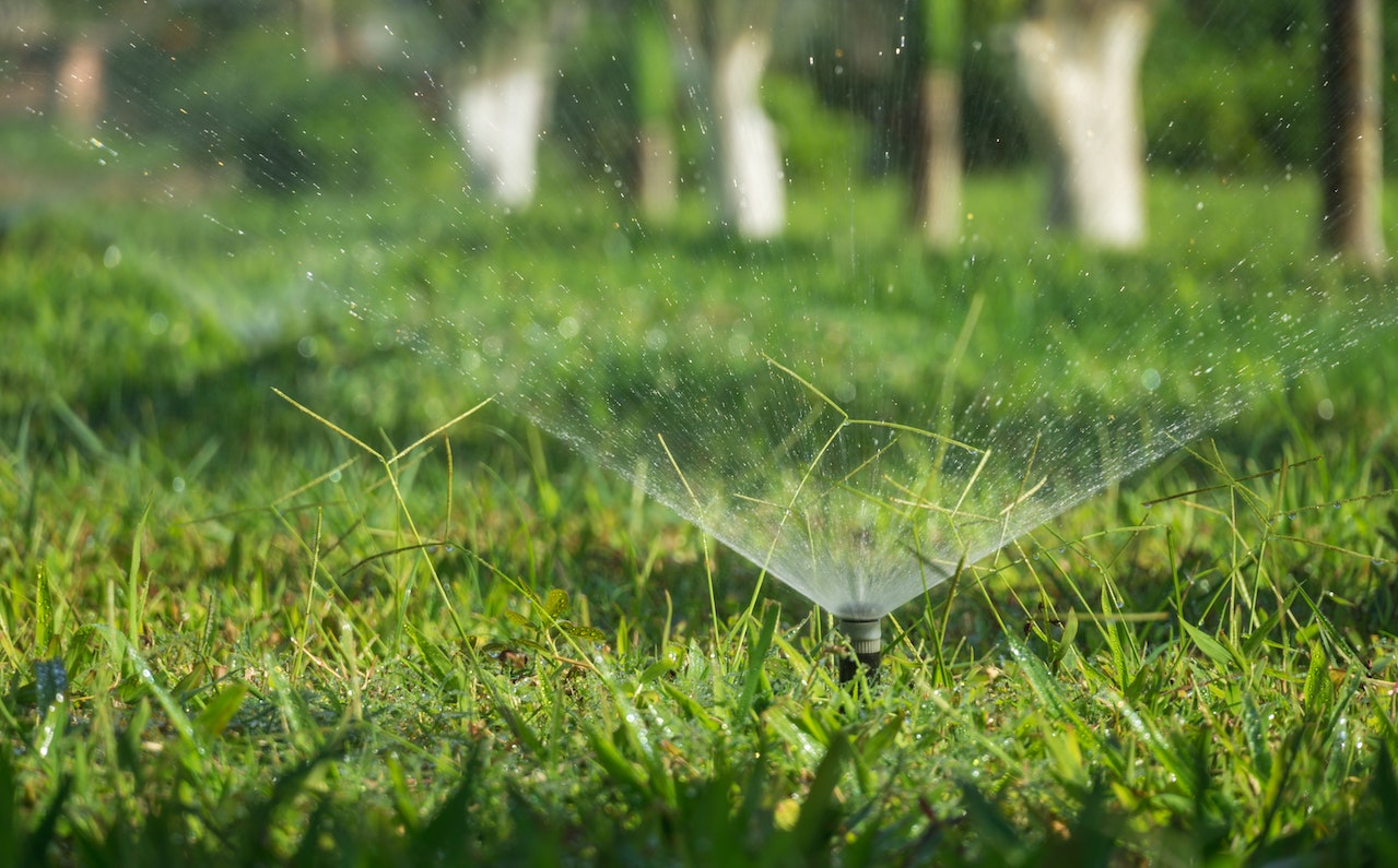 10 Ways to Reduce Carbon Footprint for A Cleaner Future - water conservation