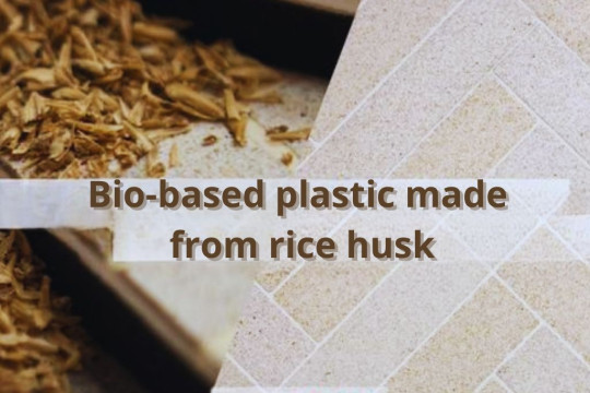 Things to Know About Bio-based Plastic Made from Rice Husk
