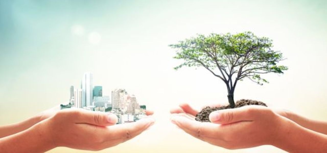 Bioplastic Polymers Sustainable Alternatives to Traditional Plastics Bioplastic Polymers Sustainable Alternatives to Traditional Plastics (1)