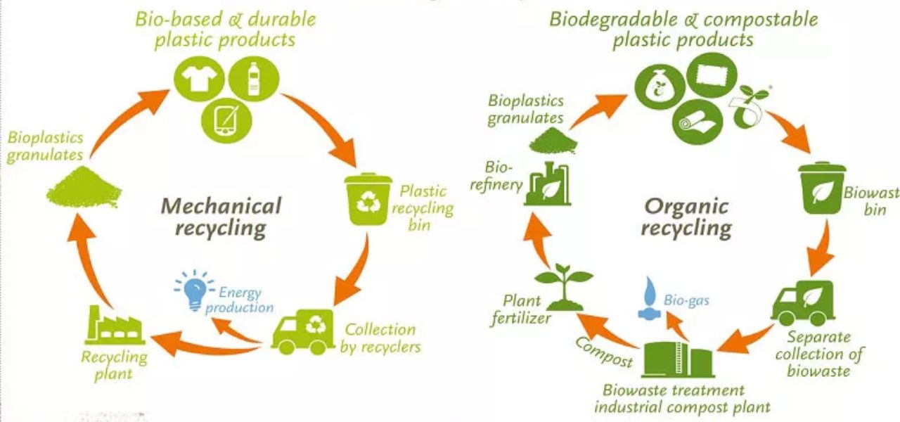 bioplastics for packaging bioplastics for packaging 2-1