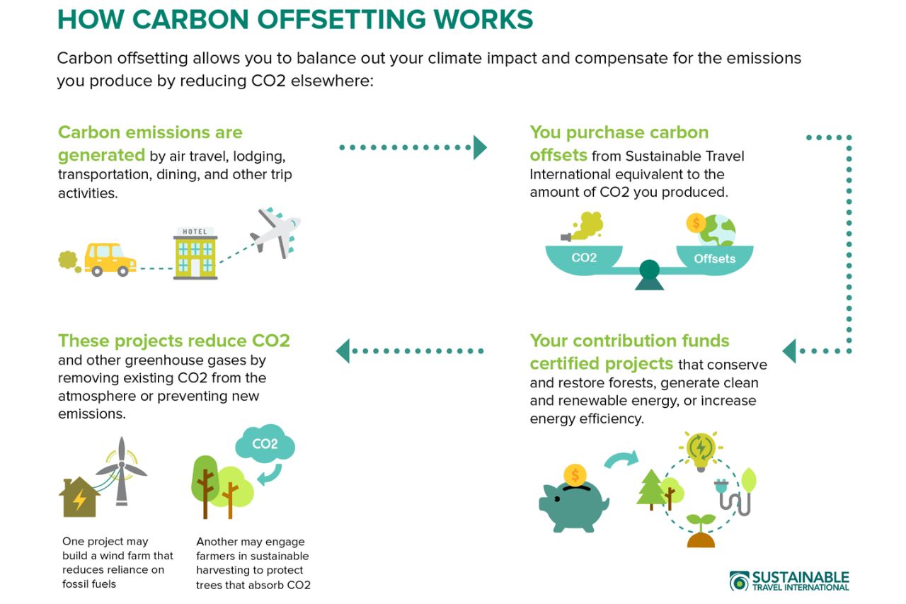 carbon offset programs Bioplastics in Packaging