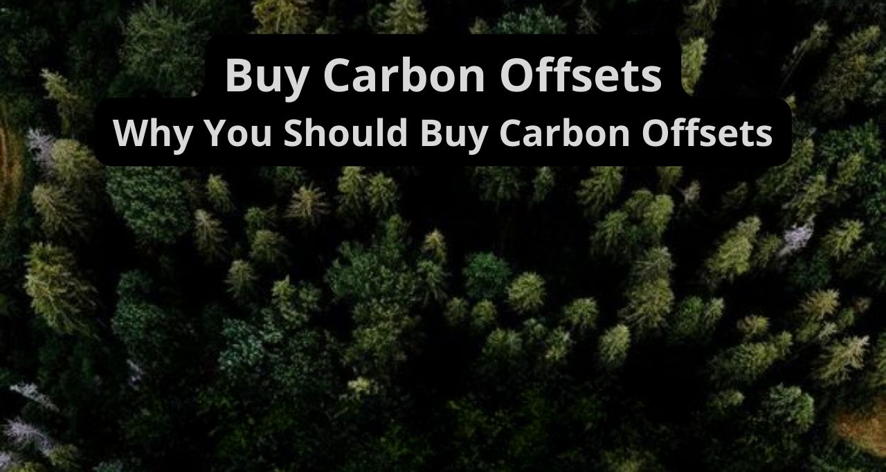 Buy Carbon Offsets Why You Should Buy Carbon Offsets Buy Carbon Offsets Why You Should Buy Carbon Offsets