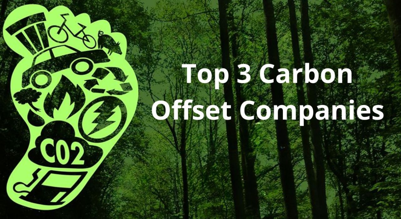 Top 3 Carbon Offset Companies