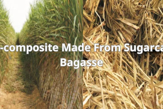 Bio-composite Made from Sugarcane Bagasse