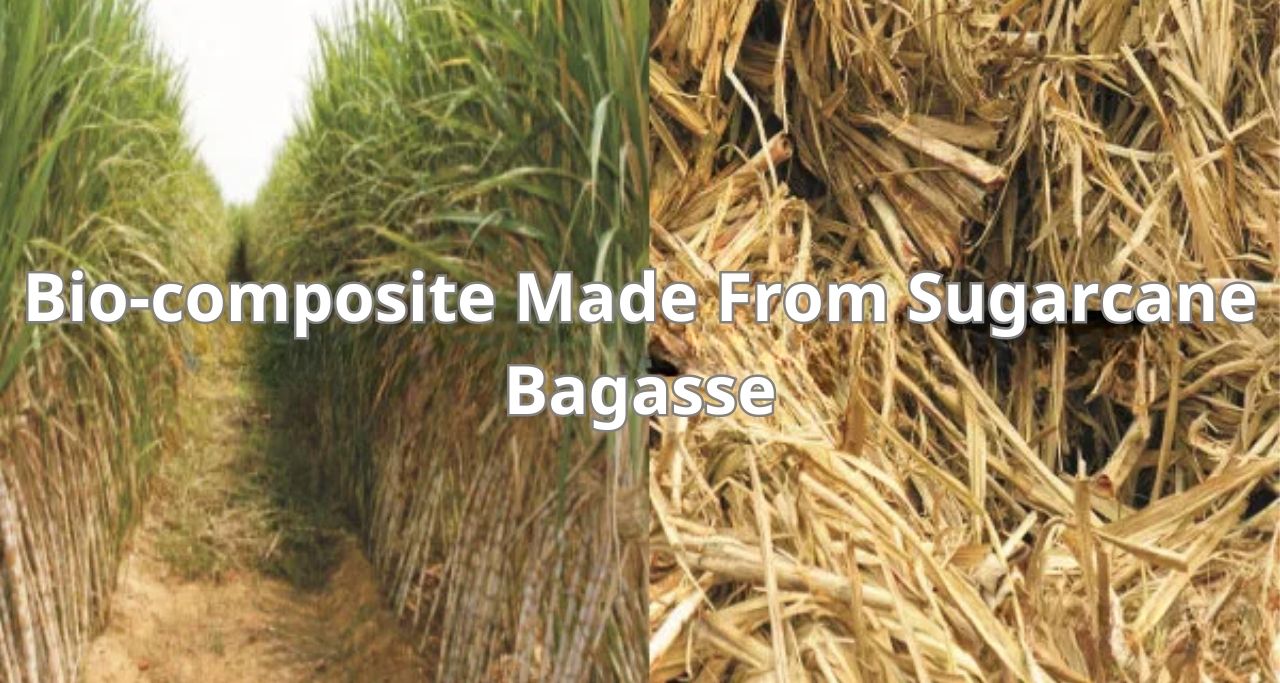 From Waste to Innovation Bio-composite Made from Sugarcane Bagasse From Waste to Innovation Bio-composite Made from Sugarcane Bagasse (2)-min