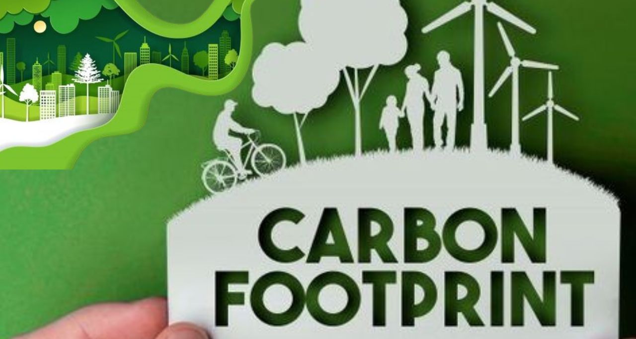 Reducing Business Carbon Footprint Strategies and Benefits for Sustainable Operation-min