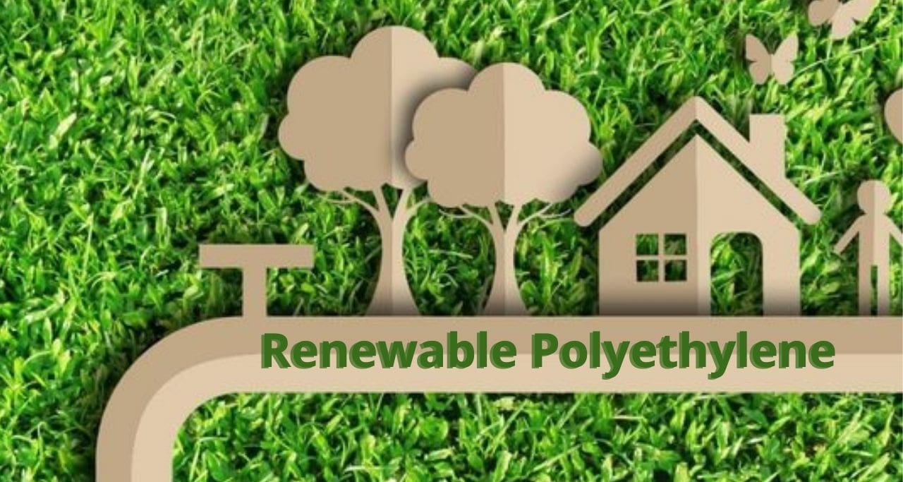 Reviewing the Market Trends and Future Prospects of Renewable Polyethylene