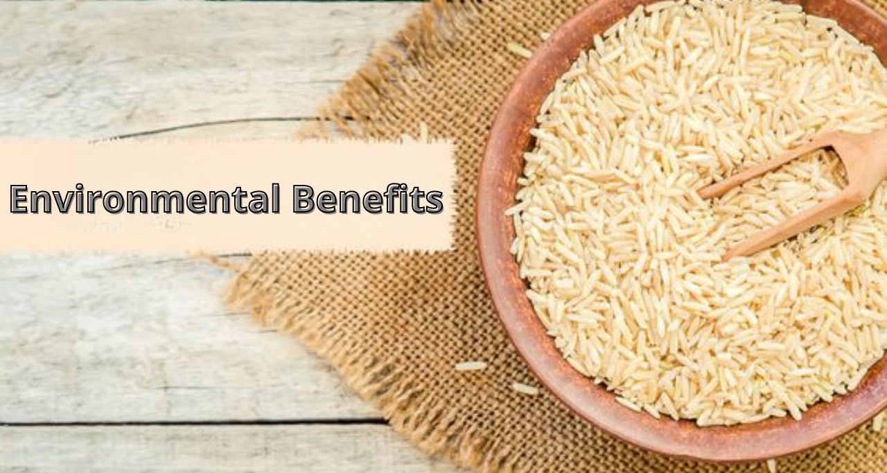 rice-based polypropylene Rice-Based 1