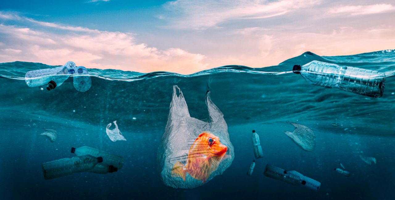 Strategies to reduce the global carbon footprint of plastics Strategies to reduce the global carbon footprint of plastics (1)-min