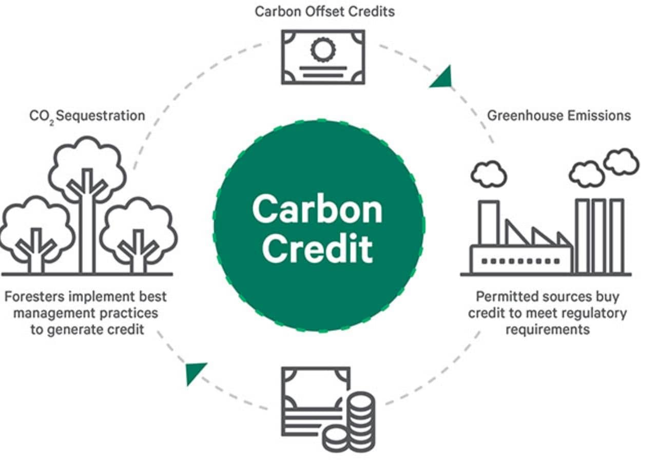 Purchase Carbon Credits Taking Action for the Planet Why You Should Purchase Carbon Credits (2)-min