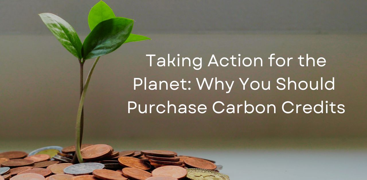 Purchase Carbon Credits Taking Action for the Planet Why You Should Purchase Carbon Credits-min
