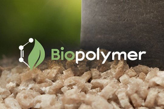 Understanding Biopolymers: The Key to Achieving a Circular Economy