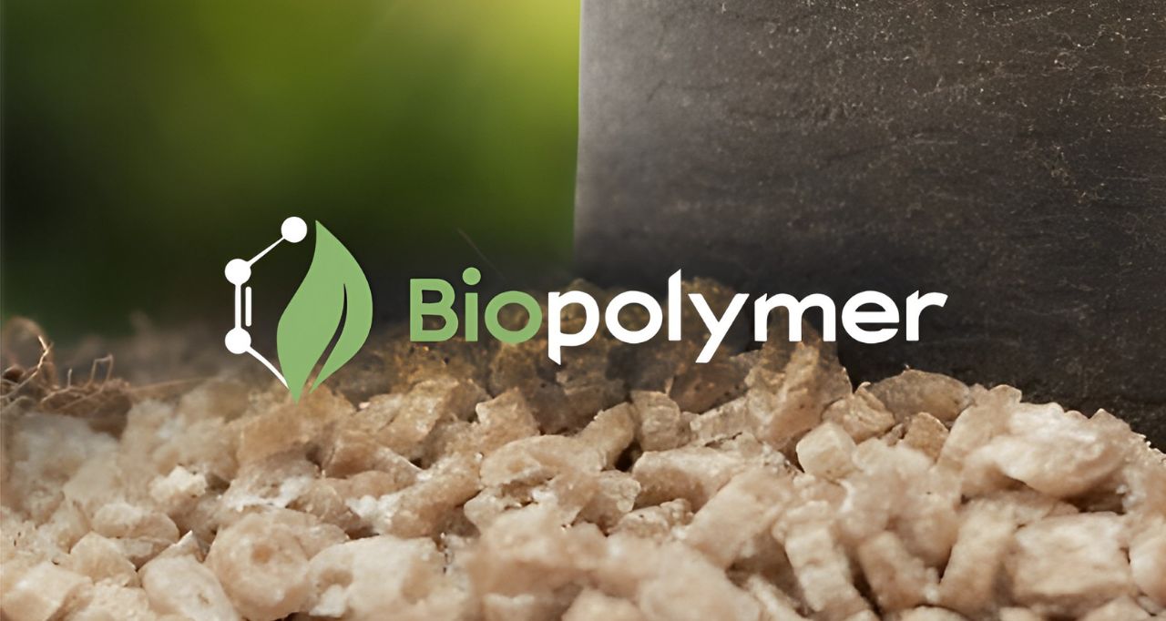 Understanding Biopolymers -The Key to Achieving a Circular Economy Understanding Biopolymers -The Key to Achieving a Circular Economy