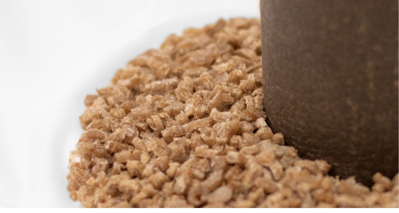 Unveiling the Properties and Applications of Bio-based Polyethylene (1)-min