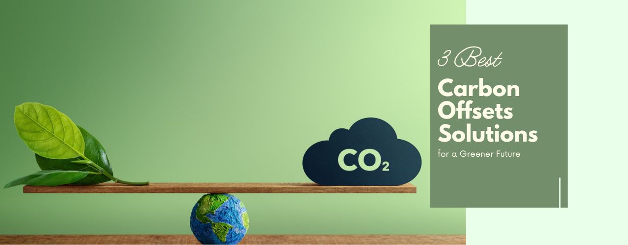 3 Best Carbon Offsets Solutions for a Greener Future