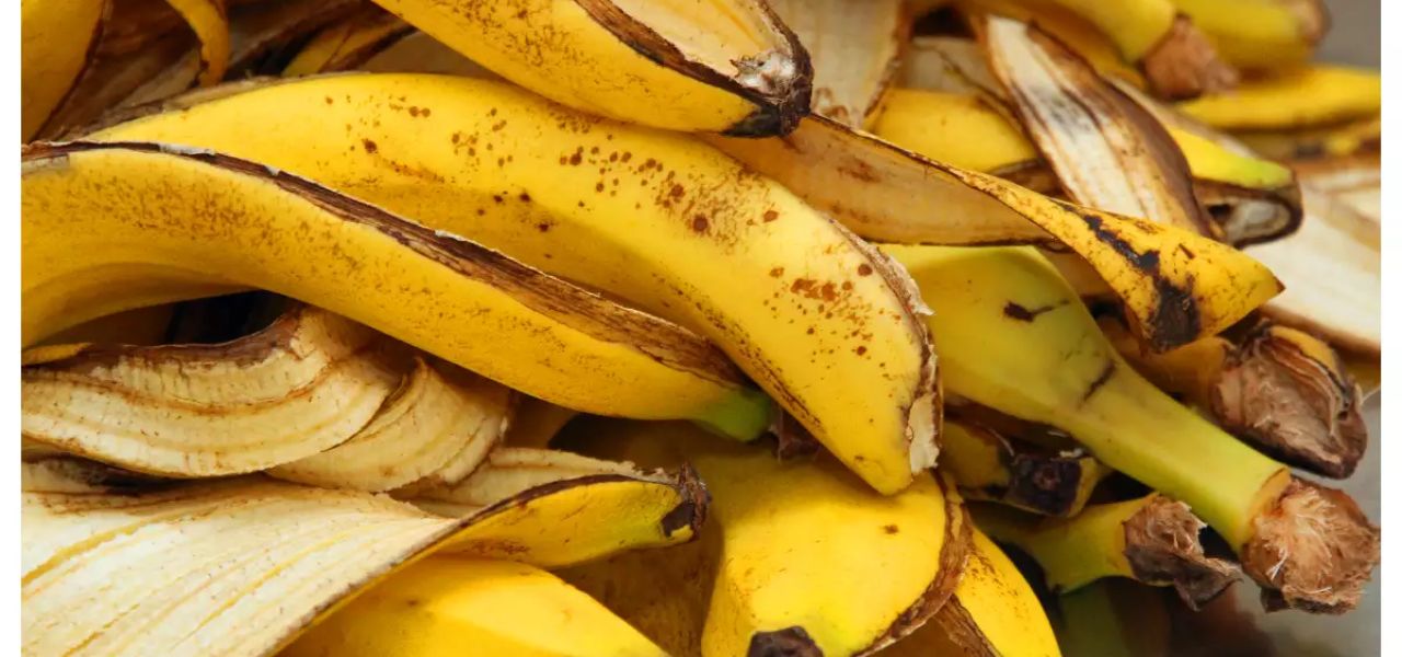 Banana Peel Bioplastic - A New Breakthrough- Banana peel