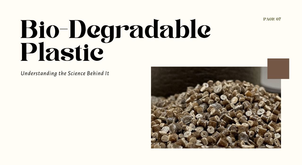 Bioplastic Packaging - Eco-Friendly and Innovative