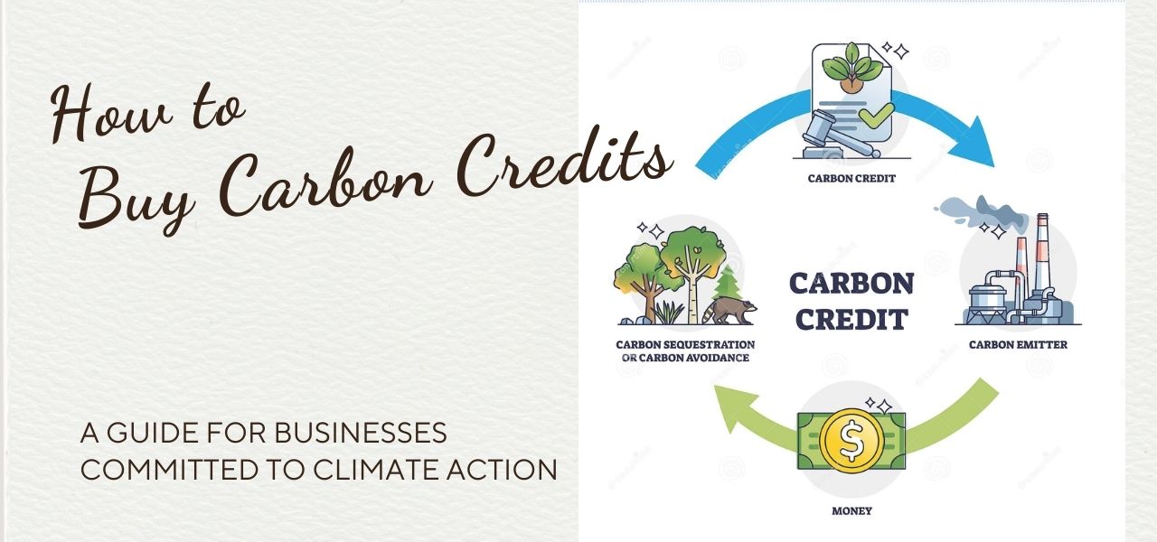Buying Carbon Credits A Guide for Businesses Committed to Climate Action
