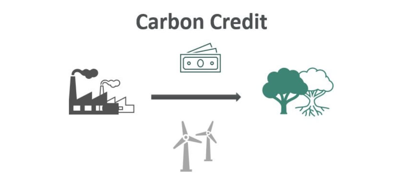 Carbon Offset Cost Factors and Considerations for Decision-Making - Carbon credit