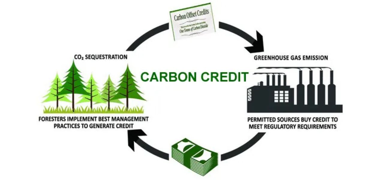 Buying Carbon Credits A Guide for Businesses Committed to Climate Action - Carbon credit