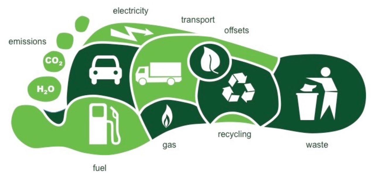 Product Carbon Footprint: Strategies for Sustainable Manufacturing - carbon footprint