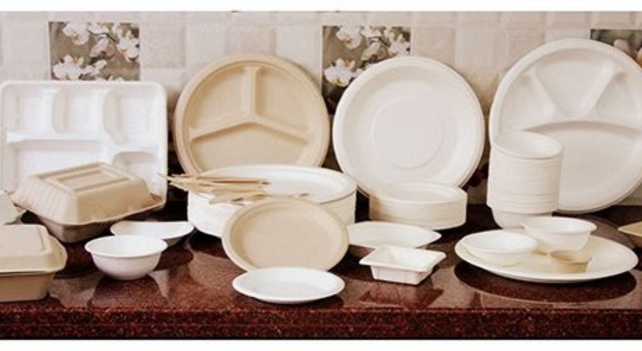Innovative Corn Starch Bioplastic - Corn starch bioplastic products