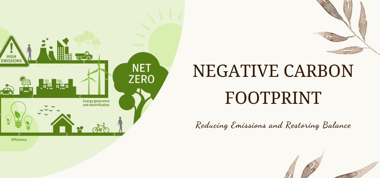 Embracing a Low Carbon Footprint