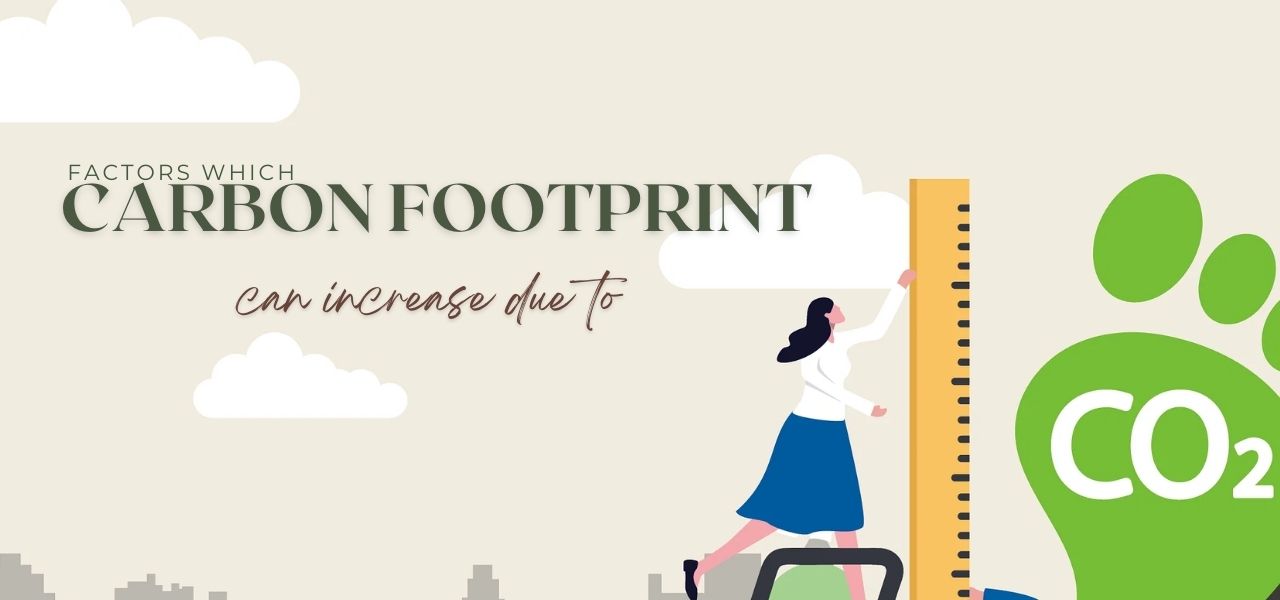 Factors which carbon footprint can increase due to