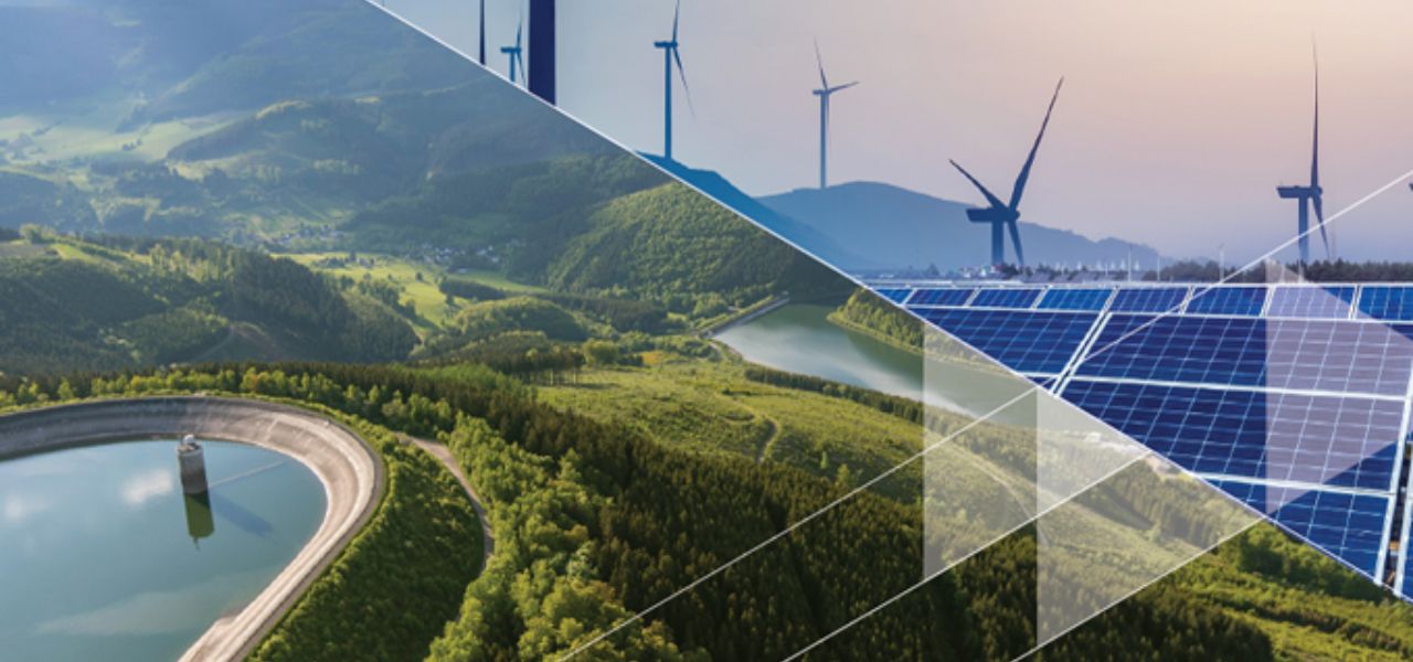 Negative Carbon Footprint: How Individuals and Businesses Make a Difference - Green energy