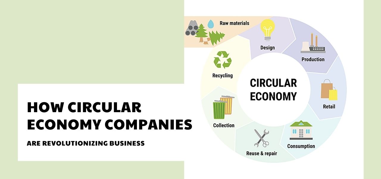 How Circular Economy Companies Are Revolutionizing Business