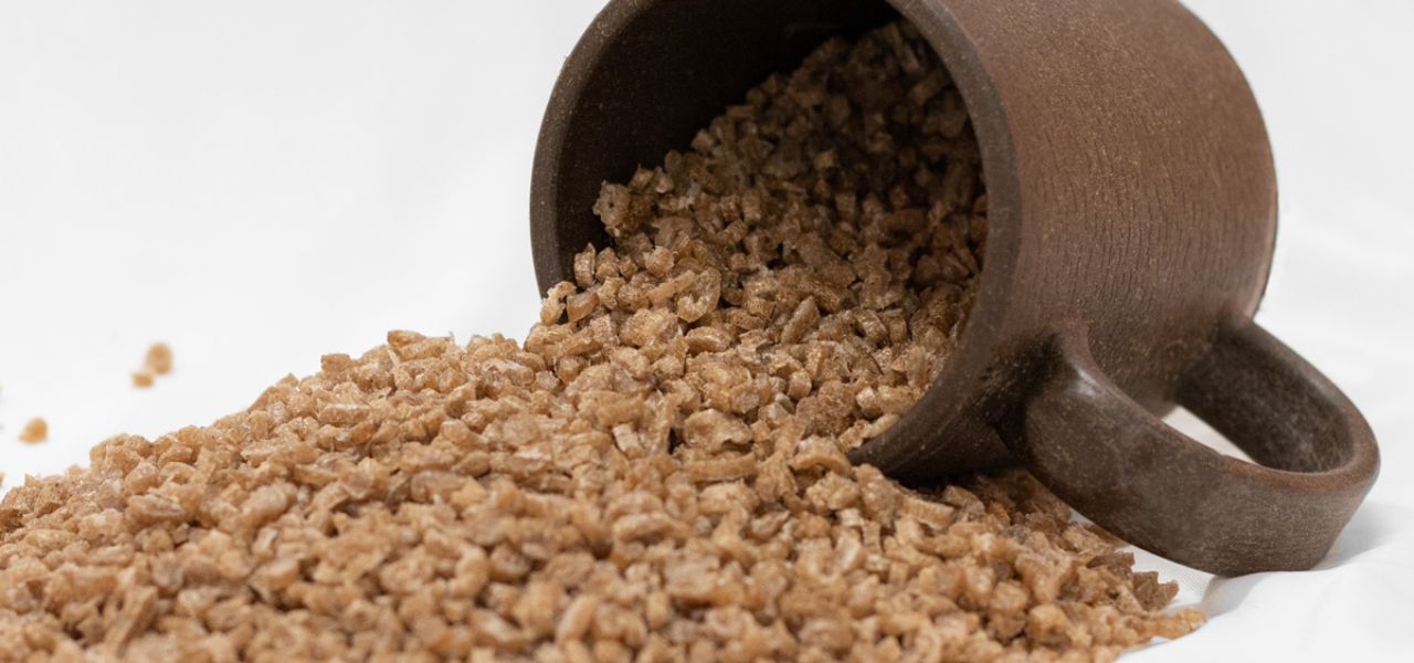 From Waste to Innovation Bio-composite Made from Sugarcane Bagasse