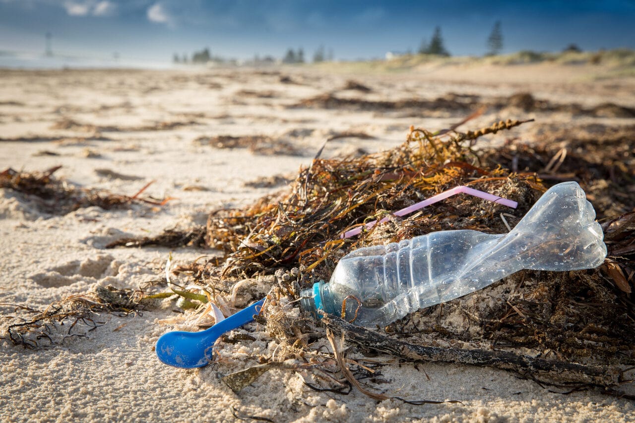 Bio Plastic Bags for a Greener Future - Plastic pollution