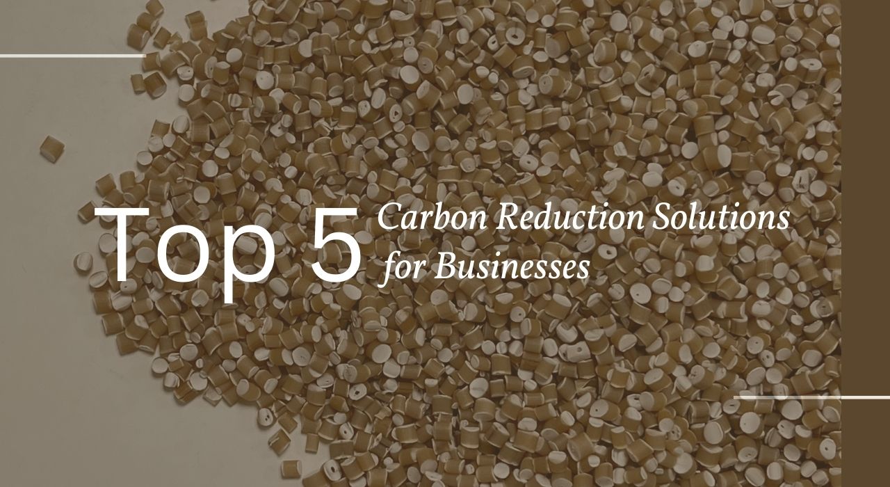 Top 5 Carbon Reduction Solutions for Businesses