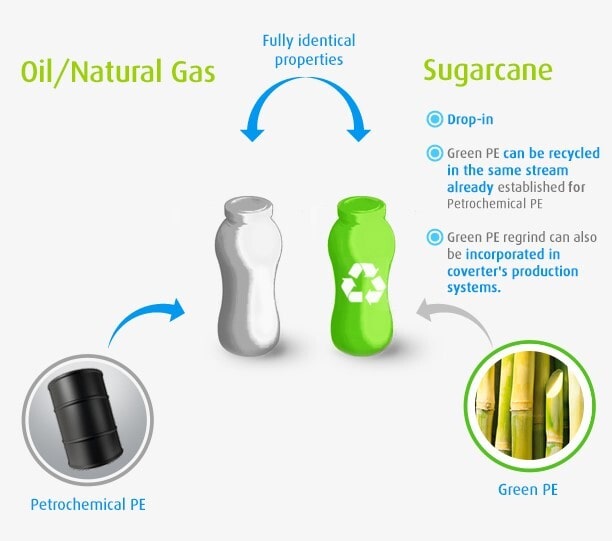 Introducing Biobased Polyethylene: 5 Fascinating Facts - origin