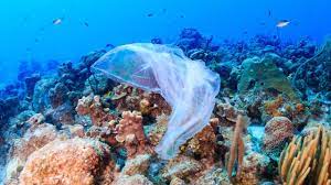 plastic in sea