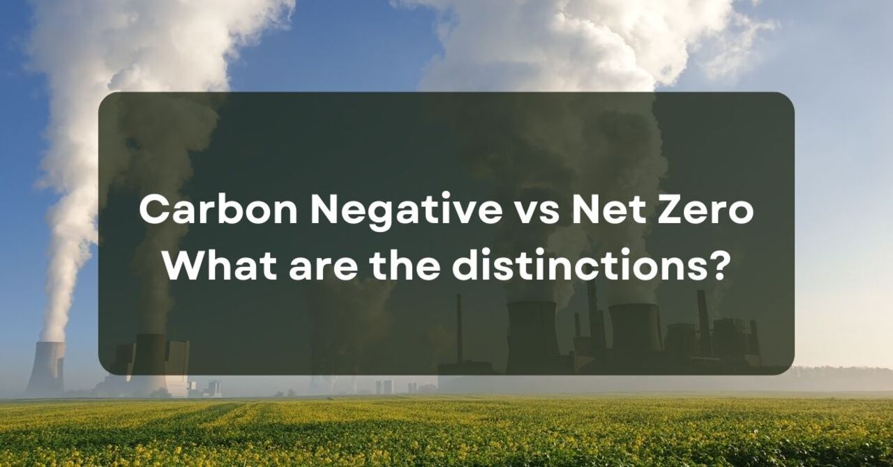 Carbon Negative vs Net Zero: What are the distinctions?