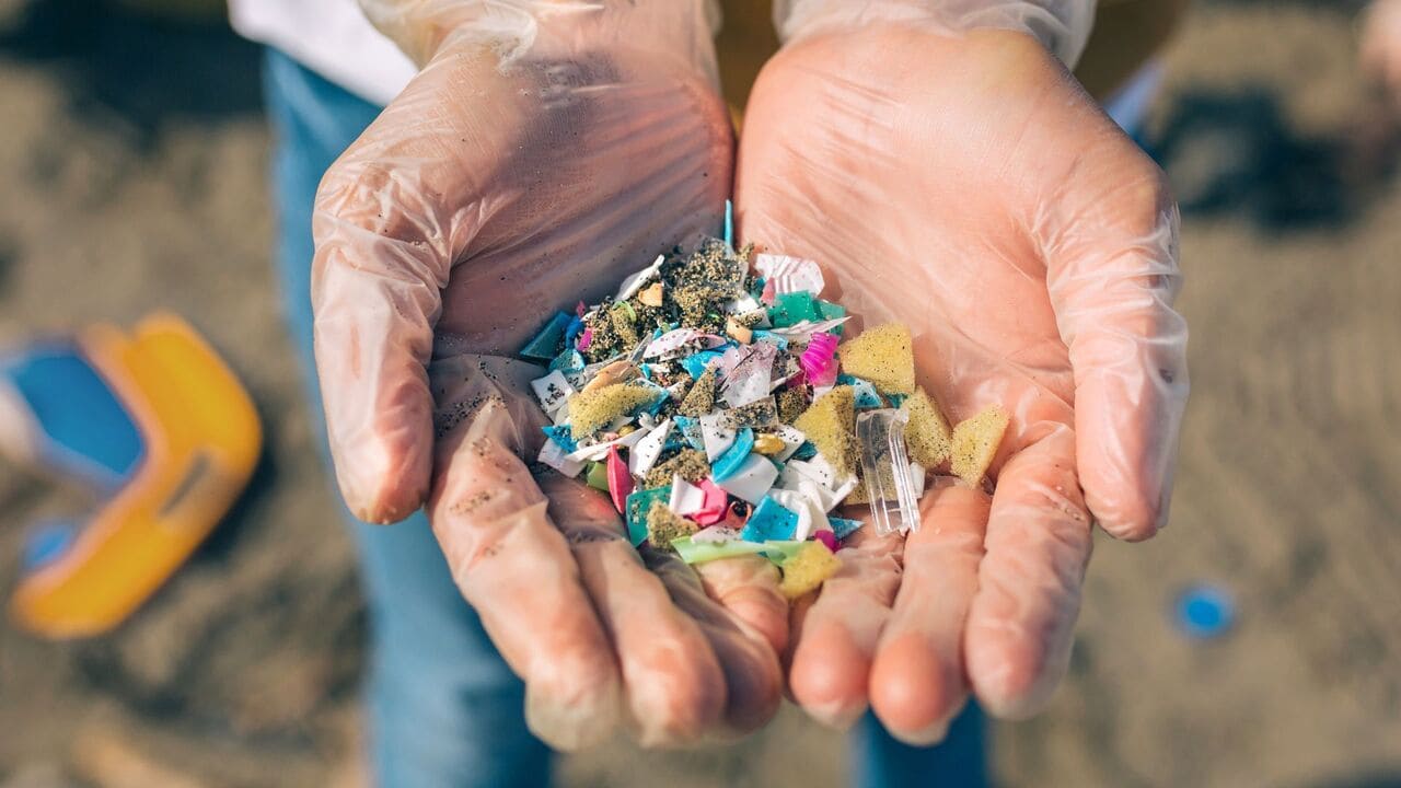 Global plastic waste problem - Everything you need to know