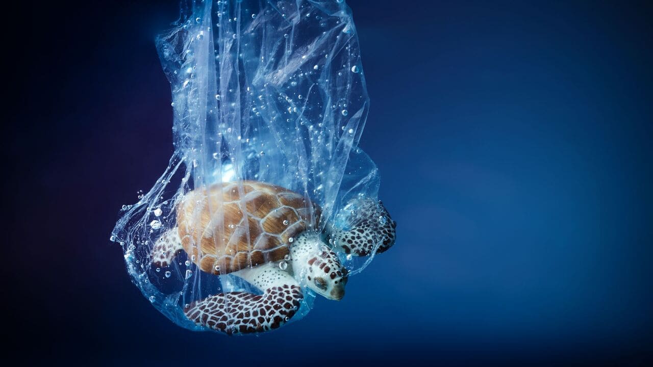 Global plastic waste problem - Everything you need to know Global plastic waste problem - Everything you need to know