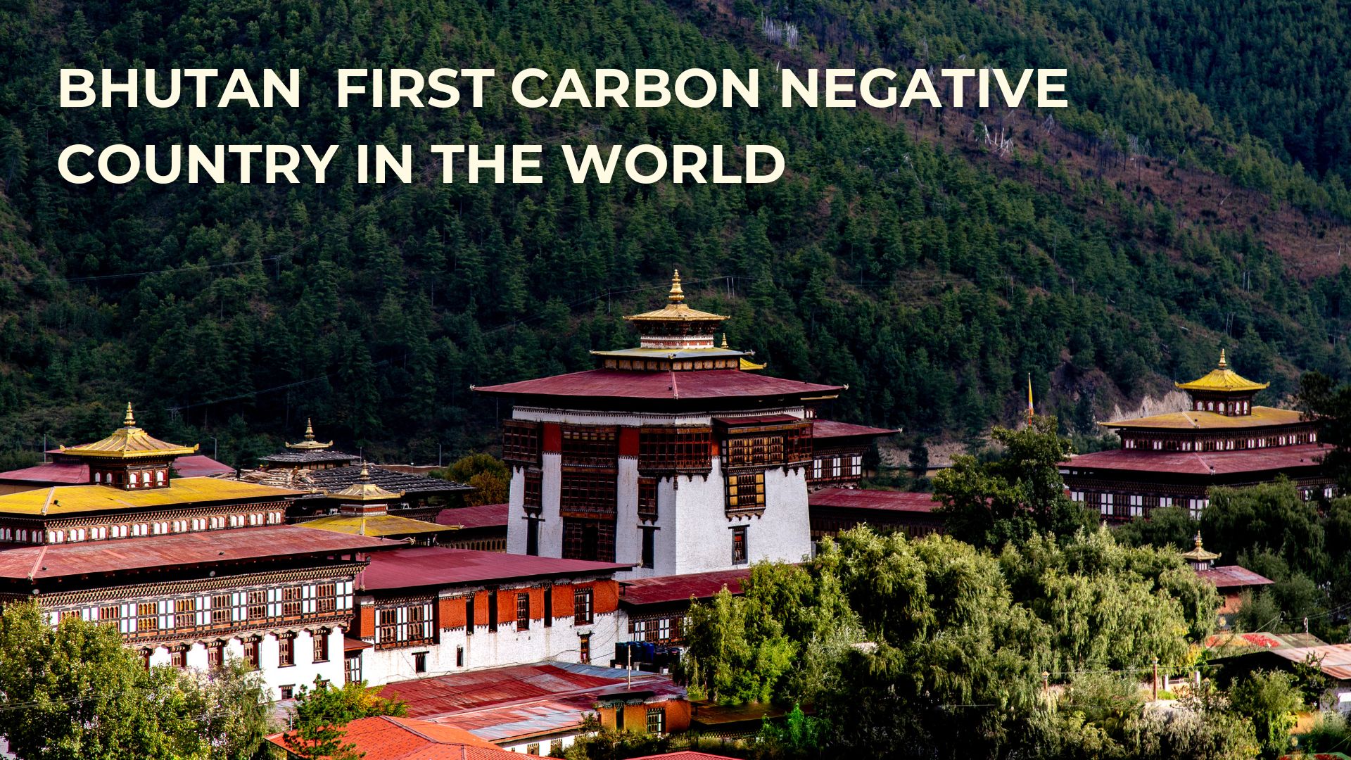 How Bhutan becomes a first carbon negative country in the world