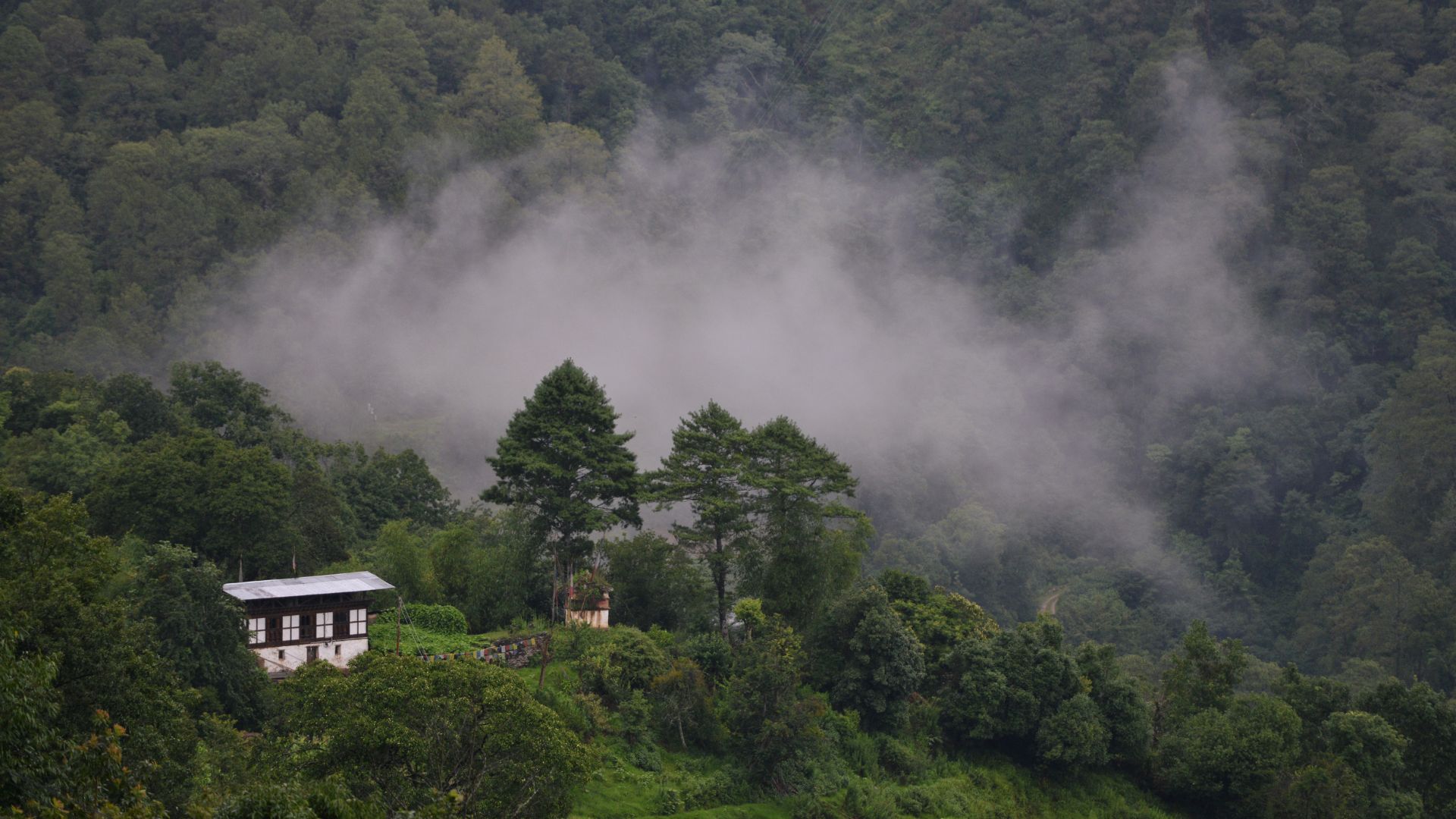 How Bhutan becomes a first carbon negative country in the world