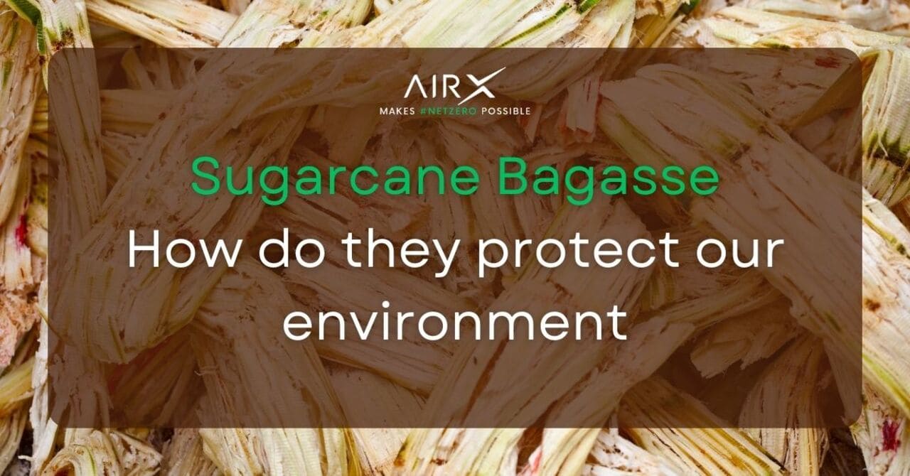 Sugarcane bagasse bio-composite: How can they protect the environment?