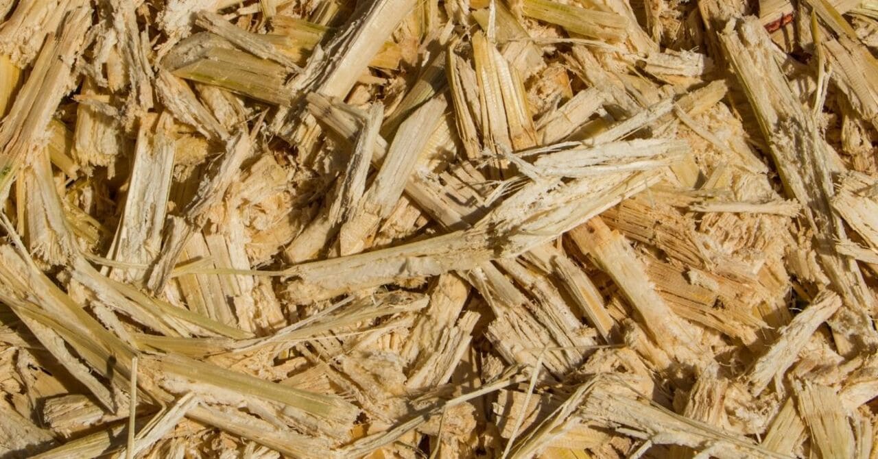 Sugarcane bagasse bio-composite: How can they protect the environment?